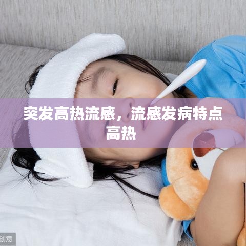 突发高热流感,流感发病特点高热