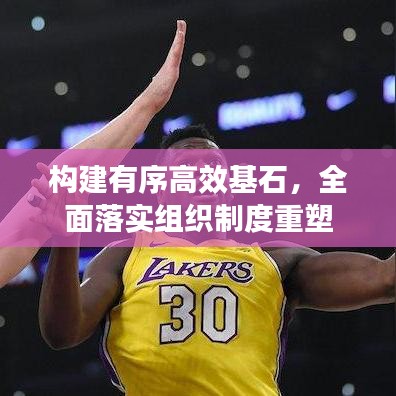 构建有序高效基石，全面落实组织制度重塑