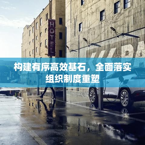 构建有序高效基石,全面落实组织制度重塑