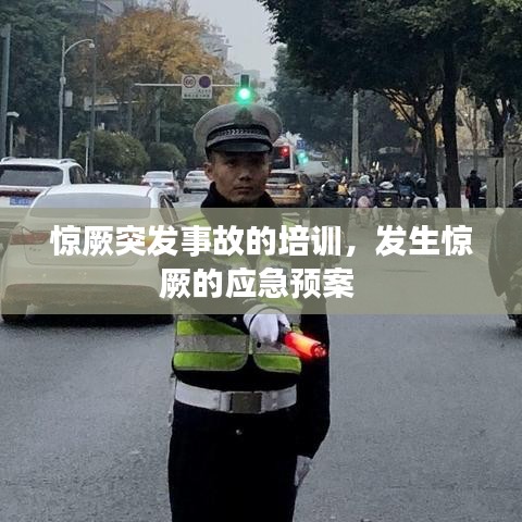 惊厥突发事故的培训,发生惊厥的应急预案