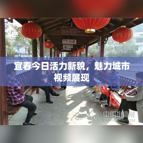 宜春今日活力新貌,魅力城市视频展现
