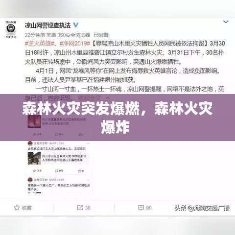 森林火灾突发爆燃,森林火灾爆炸