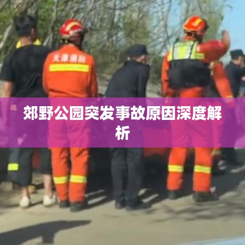郊野公园突发事故原因深度解析