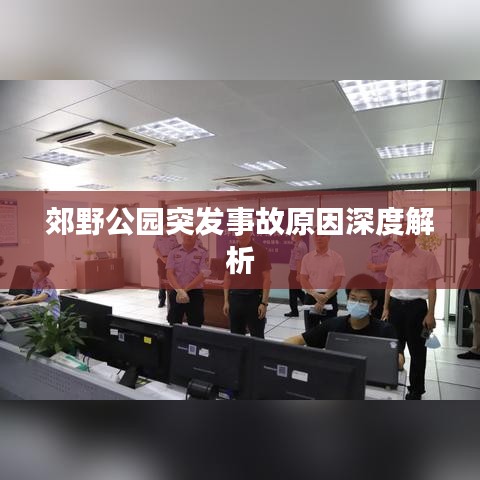 郊野公园突发事故原因深度解析