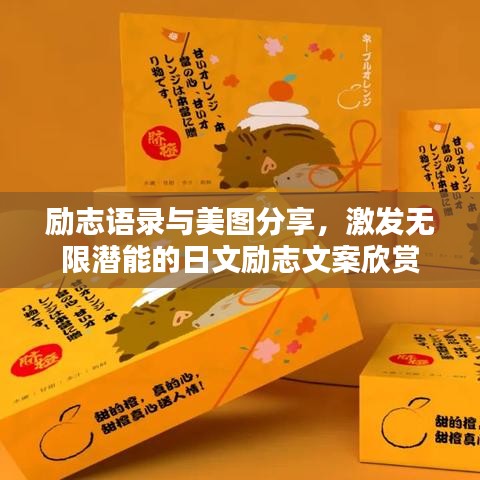 励志语录与美图分享,激发无限潜能的日文励志文案欣赏