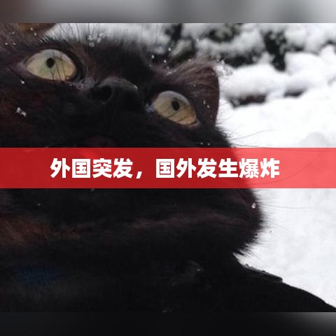 外国突发,国外发生爆炸