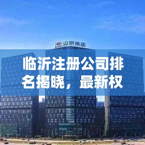 临沂注册公司排名揭晓,最新权威榜单出炉!