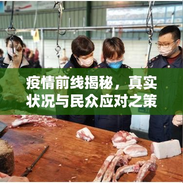 疫情前线揭秘，真实状况与民众应对之策专题采访