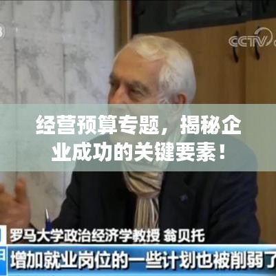 经营预算专题,揭秘企业成功的关键要素!
