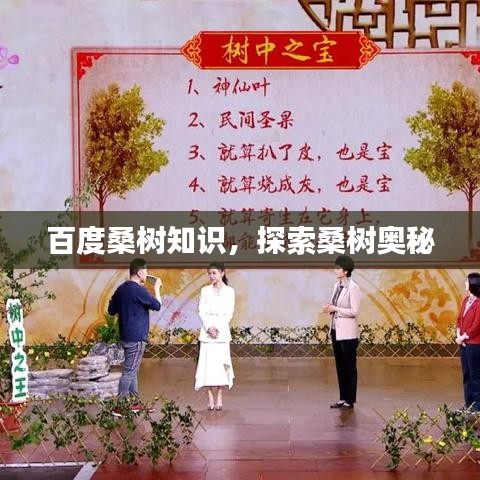 百度桑树知识，探索桑树奥秘