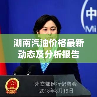 湖南汽油价格最新动态及分析报告