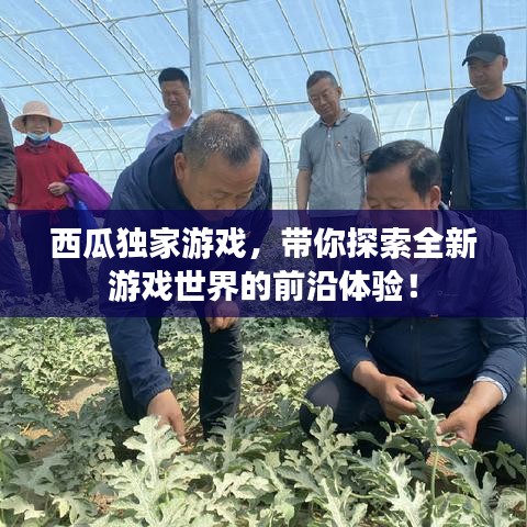 西瓜独家游戏，带你探索全新游戏世界的前沿体验！