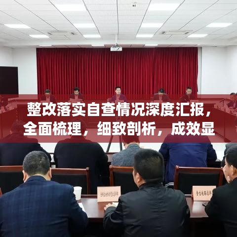 整改落实自查情况深度汇报，全面梳理，细致剖析，成效显著！
