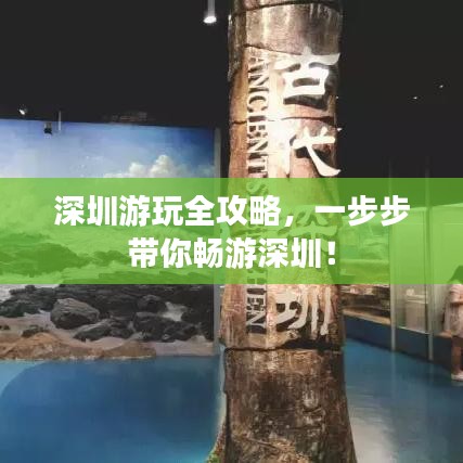 深圳游玩全攻略,一步步带你畅游深圳!