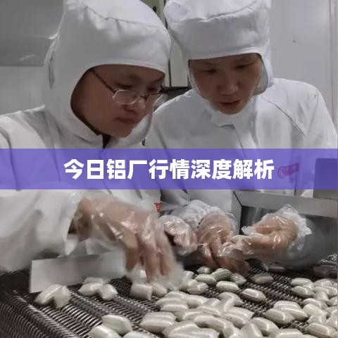 今日铝厂行情深度解析