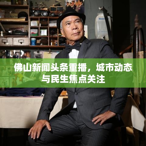 佛山新闻头条重播,城市动态与民生焦点关注