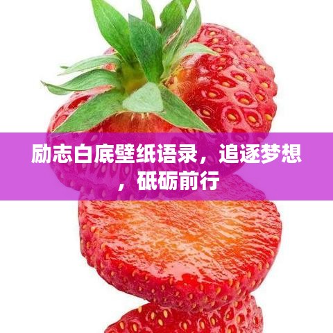 励志白底壁纸语录，追逐梦想，砥砺前行