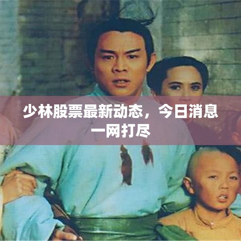 少林股票最新动态,今日消息一网打尽