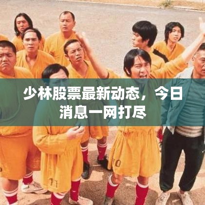 少林股票最新动态,今日消息一网打尽