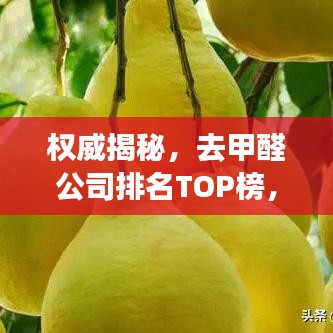权威揭秘,去甲醛公司排名TOP榜,专业治理甲醛污染!
