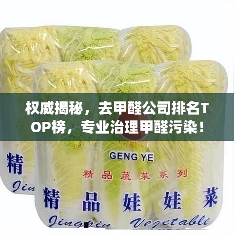 权威揭秘,去甲醛公司排名TOP榜,专业治理甲醛污染!