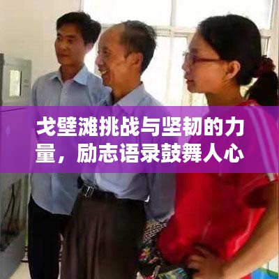 戈壁滩挑战与坚韧的力量,励志语录鼓舞人心