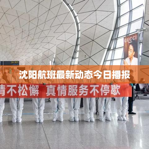 沈阳航班最新动态今日播报