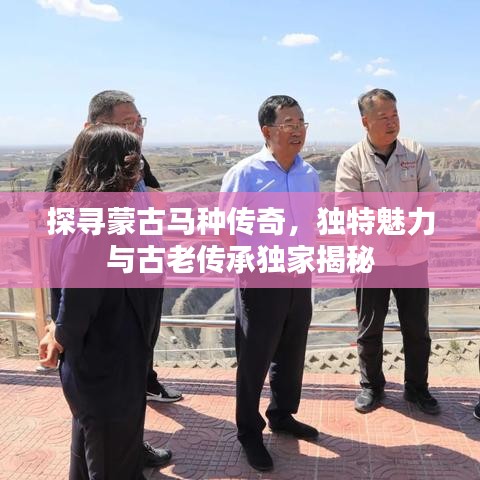 探寻蒙古马种传奇,独特魅力与古老传承独家揭秘