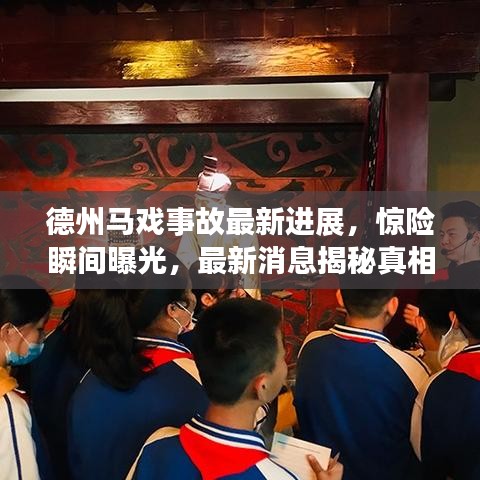 德州马戏事故最新进展,惊险瞬间曝光,最新消息揭秘真相!