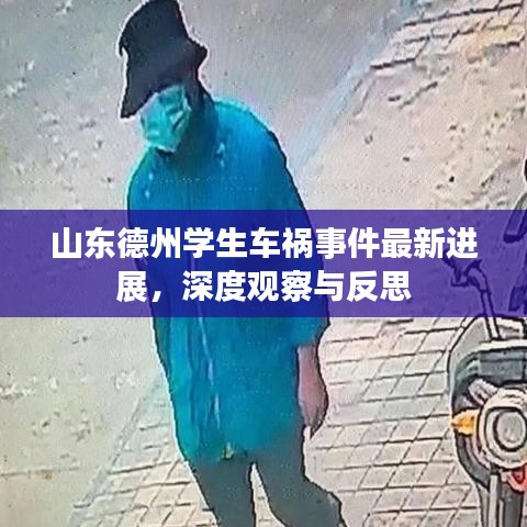 山东德州学生车祸事件最新进展，深度观察与反思