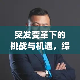 突发变革下的挑战与机遇,综合评价与应对策略