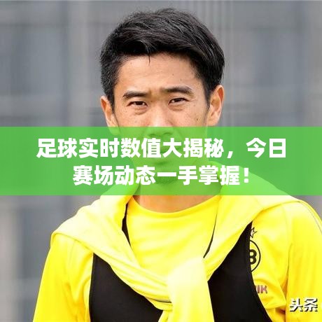 足球实时数值大揭秘,今日赛场动态一手掌握!