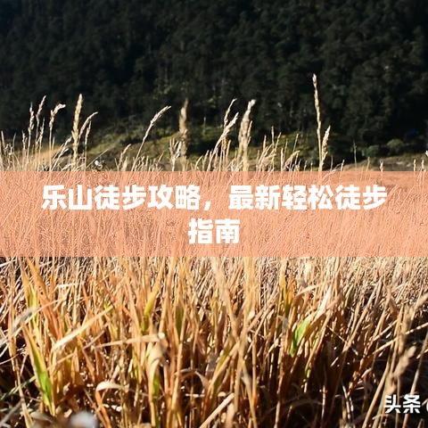 乐山徒步攻略,最新轻松徒步指南