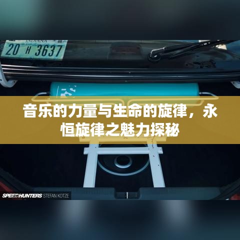 音乐的力量与生命的旋律，永恒旋律之魅力探秘