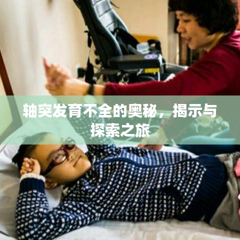 轴突发育不全的奥秘，揭示与探索之旅