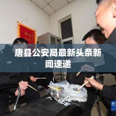 唐县公安局最新头条新闻速递