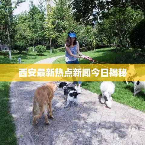 西安最新热点新闻今日揭秘