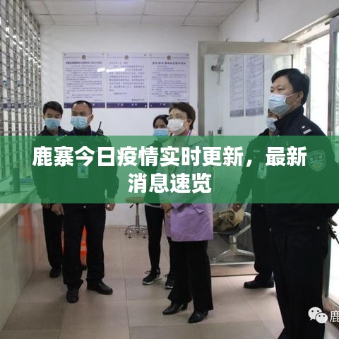 鹿寨今日疫情实时更新,最新消息速览