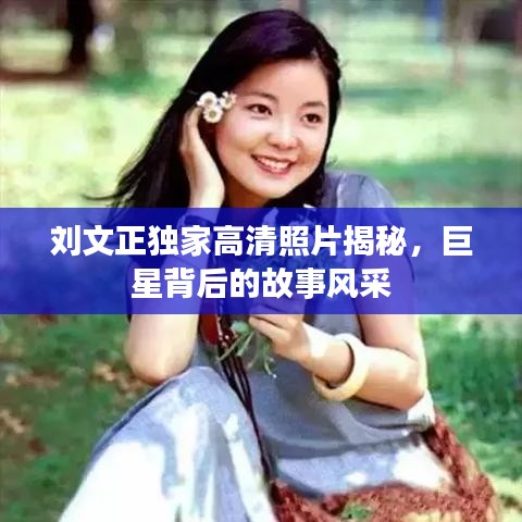 刘文正独家高清照片揭秘,巨星背后的故事风采