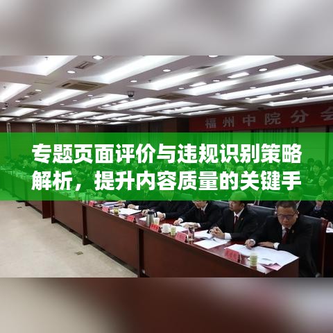 专题页面评价与违规识别策略解析,提升内容质量的关键手段