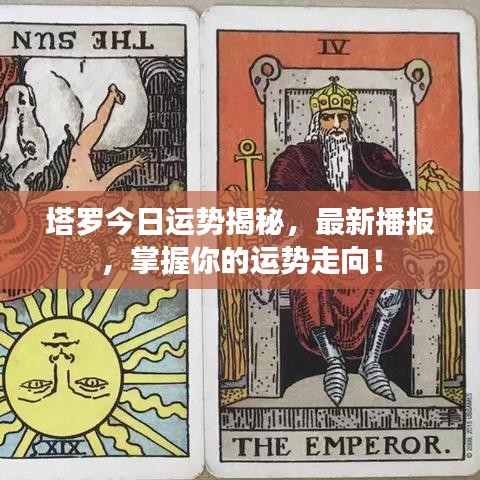 塔罗今日运势揭秘,最新播报,掌握你的运势走向!