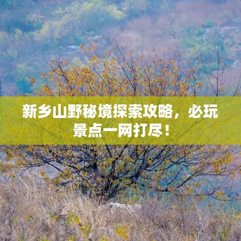 新乡山野秘境探索攻略,必玩景点一网打尽!