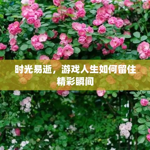 时光易逝,游戏人生如何留住精彩瞬间