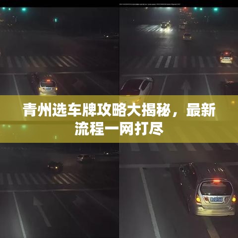 青州选车牌攻略大揭秘,最新流程一网打尽
