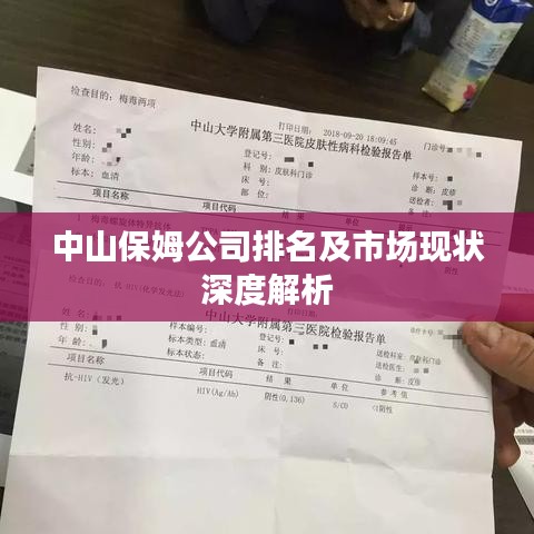 中山保姆公司排名及市场现状深度解析