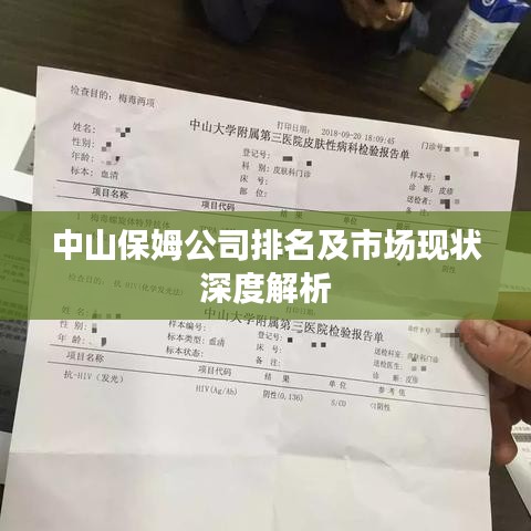 中山保姆公司排名及市场现状深度解析