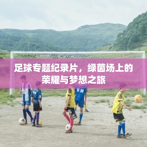 足球专题纪录片,绿茵场上的荣耀与梦想之旅