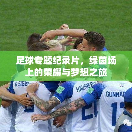 足球专题纪录片,绿茵场上的荣耀与梦想之旅