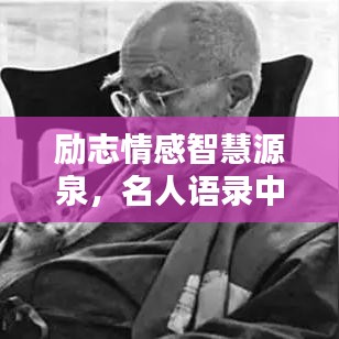 励志情感智慧源泉,名人语录中的心灵激荡语句