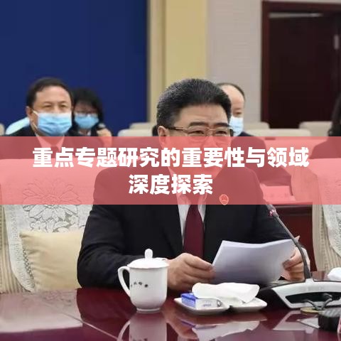 重点专题研究的重要性与领域深度探索